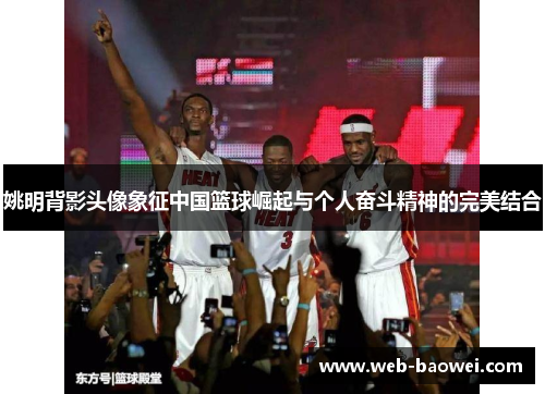 姚明背影头像象征中国篮球崛起与个人奋斗精神的完美结合